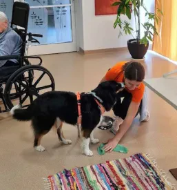 Pet terapija