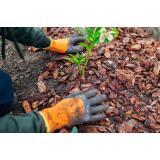 Pišek Andrej - dopolnilna dejavnost na kmetiji