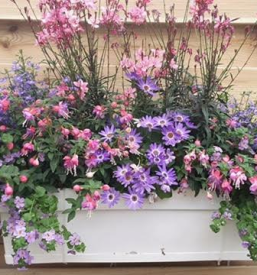 Najbolj ugodno urejanje zelenic Ajdovščina