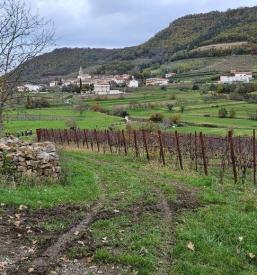 Pohodniška pot Vipavska dolina