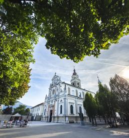 Malice in kosila cena