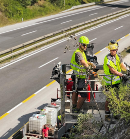Urejanje okolice na višini Gorenjska