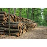 Uroš Vranešič s.p.