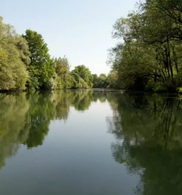 Panoramska vožnja Ljubljanica