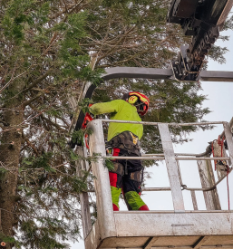 Poceni dela na višini Gorenjska