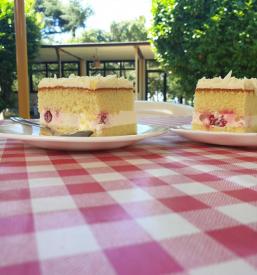 hostel Novigrad, Hrvaška