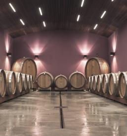 Goriška brda vinarji