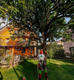 Urejanje okolice Gorenjska