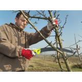 JUR Miha Kambič s.p.