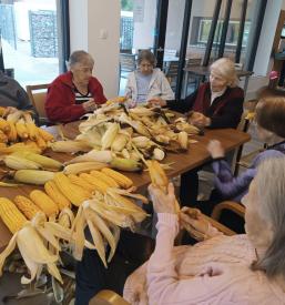 Dostopen dom upokojencev Vrhnika