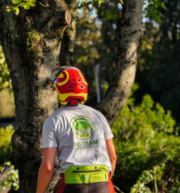 Poceni obrezovanje dreves Gorenjska