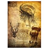 Društvo Leonardo da Vinci Vipava