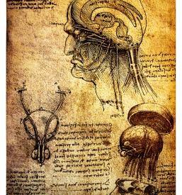 Po poti Leonarda da Vincija