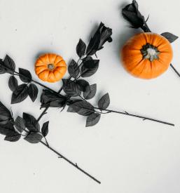 Bučno olje s Pomurja