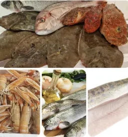 Cena najema prostora