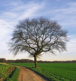 Izvedba geomehanskih raziskav