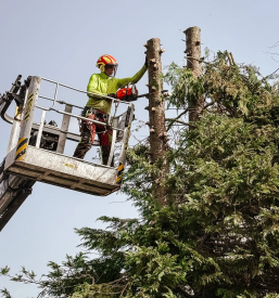 Ugodna dela na višini Gorenjska