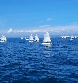 Organizacija jadralske regate Izola, Obala