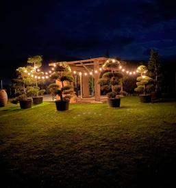 Urejanje dvorišč Koroška