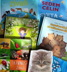 Zasebni vrtec Vipava