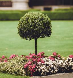 ugodna Ureditev okolice hiše Koroška