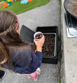 Zasebni otroški vrtec Škofja Loka