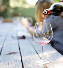 Društvo vinogradnikov