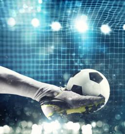 Licenca za nogometnega trenerja Nova Gorica