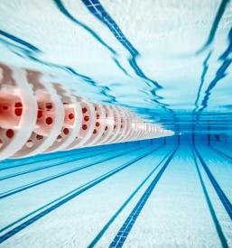 Vadba plavanja Plavalni klub Olimpija, Ljubljana