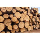 Koci les, Peter Kocjanc s.p.