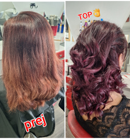 Nega in barvanje las Štajerska