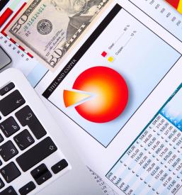 Računovodstvo za mala podjetja Cerknica, Notranjska