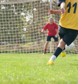 Licenca za trenerja nogometa Nova Gorica