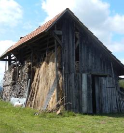 Znamenitosti Gradež