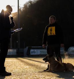 Društvo belgijskih ovčarjev Slovenije