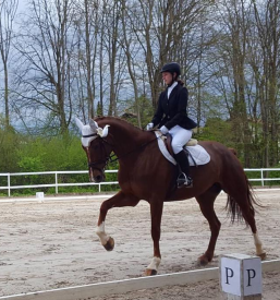 Šola jahanja Domžale