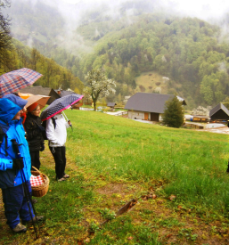 Društvo planincev Celje