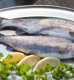 Najem gostilne Krško in okolica