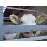 Prevozi Strnad, Nejc Strnad s.p.