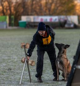 Društvo belgijskih ovčarjev Slovenije vpisuje nove člane