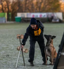 Društvo belgijskih ovčarjev Slovenije vpisuje nove člane