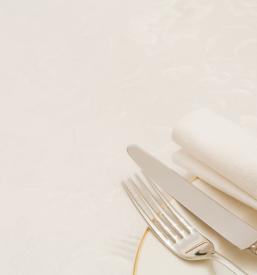 Prostor za zaključene družbe Sorica