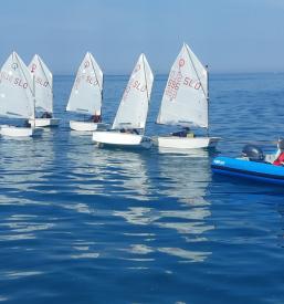 Organizacija regate Izola