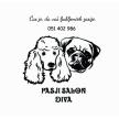 Pasji salon Diva