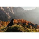 Boris Zorko - sobodajalec