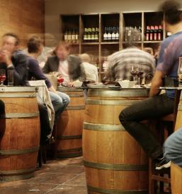 Vinogradniki Gornja Radgona