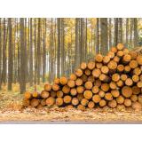 AS Škoflje - Zavrhek, a.s.