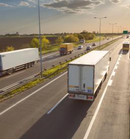 Mednarodni prevozi paletnega tovora po Evropi