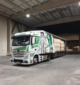 Cenik lesa hlodovina Slovenija