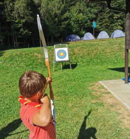 Rod bistrega potoka Muta